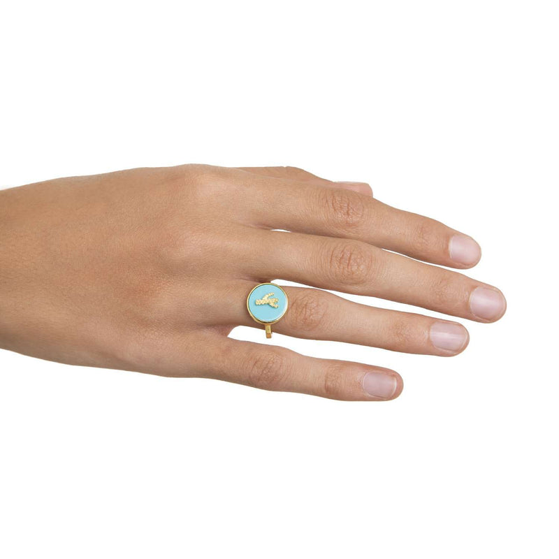 Turquoise Palm Ring