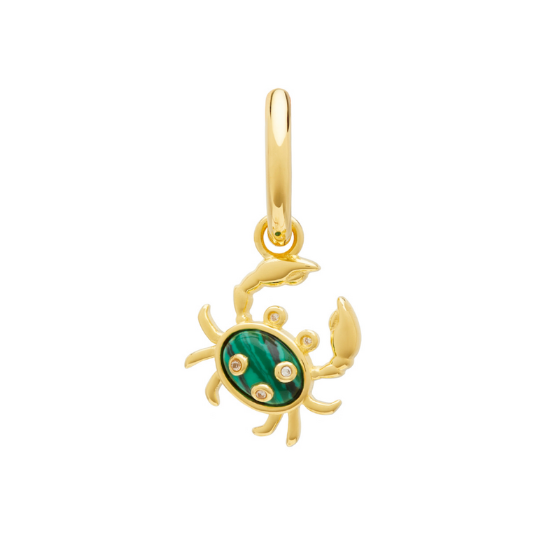 Single Crab Earring